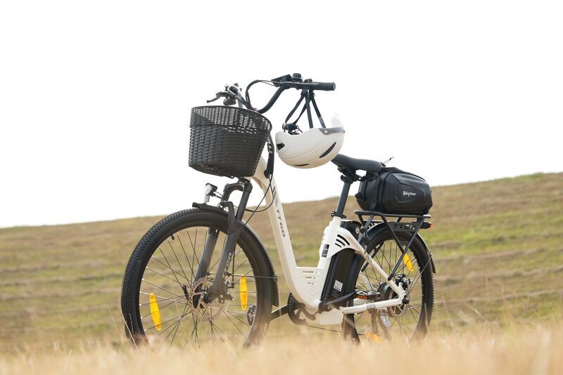 TTGO C2 PRO | white | 26" | unisize | < 500 km, image 5 of 5