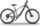 Urban Biker UB300B (2025) | diamant | sivý | L | 56 cm | < 500 km, thumbnail 1 of 3