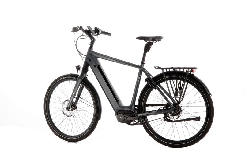 Van Dijck Kalii 3.0 (2021) | Diamant | grau | 28" | 56 cm | 2000 - 3000 km 3
