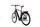 Van Dijck Kalii 3.0 (2021) | Diamond | grey | 28" | 56 cm | 2000 - 3000 km thumbnail 4/4