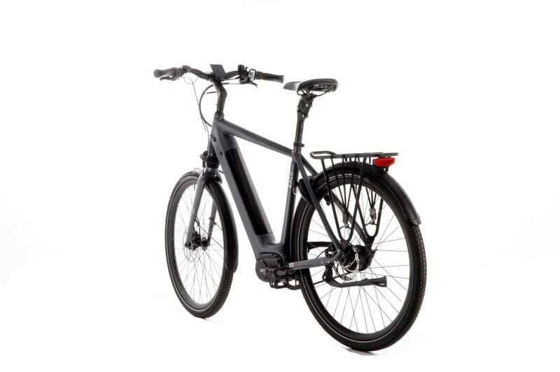 Van Dijck Kalii 3.0 (2021) | Diamant | grau | 28" | 56 cm | 2000 - 3000 km 4
