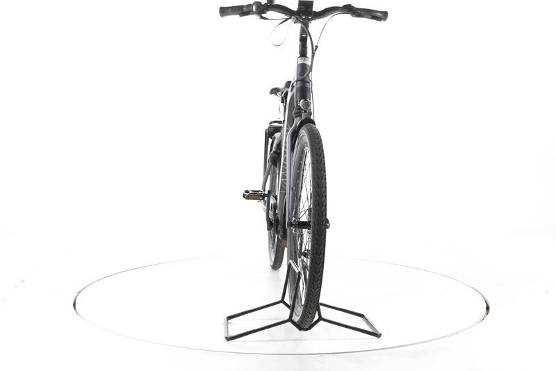 Vandijck kalii 2023 | cinzento | 28" | 51 cm | > 3000 km, image 4 of 5