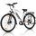 VARUN S700-1 | white | 28" | unisize | < 500 km, thumbnail 1 of 3