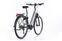 Victoria eTrekking 12.6 (2022) | Tiefeinsteiger | grau | 28" | 51 cm | 500 - 1000 km thumbnail 2/5