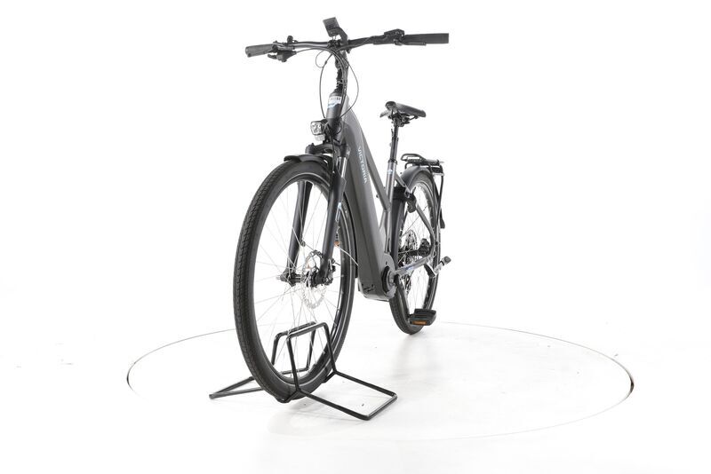 Victoria Tresalo 16 2024 | grau | 28" | 48 cm | 500 - 3000 km, image 4 of 4