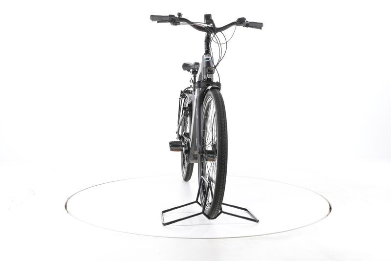 Victoria Tresalo 17 2023 | grey | 28" | 48 cm | 500 - 3000 km, image 4 of 5