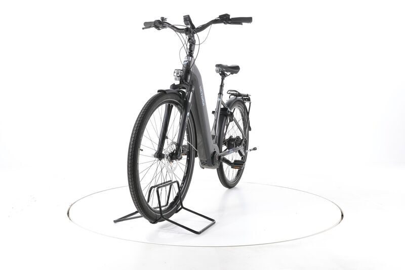 Victoria Tresalo 17 2023 | grey | 28" | 48 cm | 500 - 3000 km, image 5 of 5