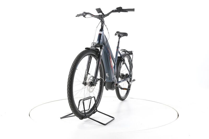 Victoria Tresalo 7 2024 | blauw | 28" | 53 cm | >3000 km 4