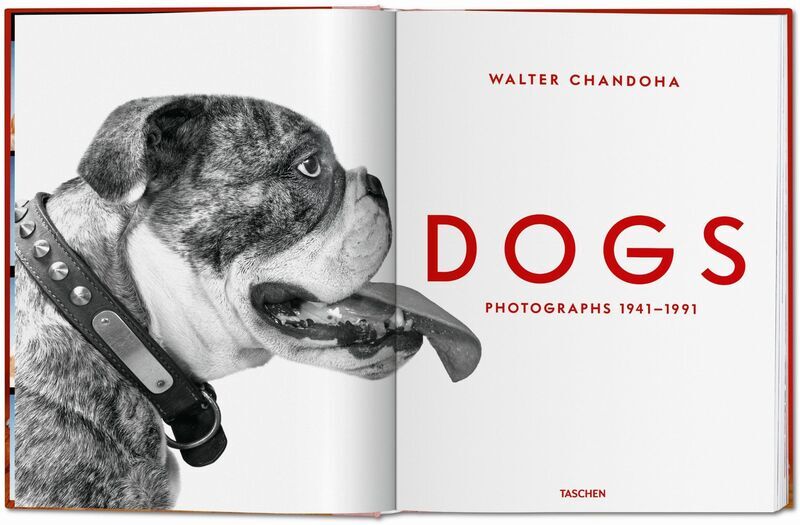 Walter Chandoha. Dogs. Photographs 1941–1991 | Weiß, image 1 of 4