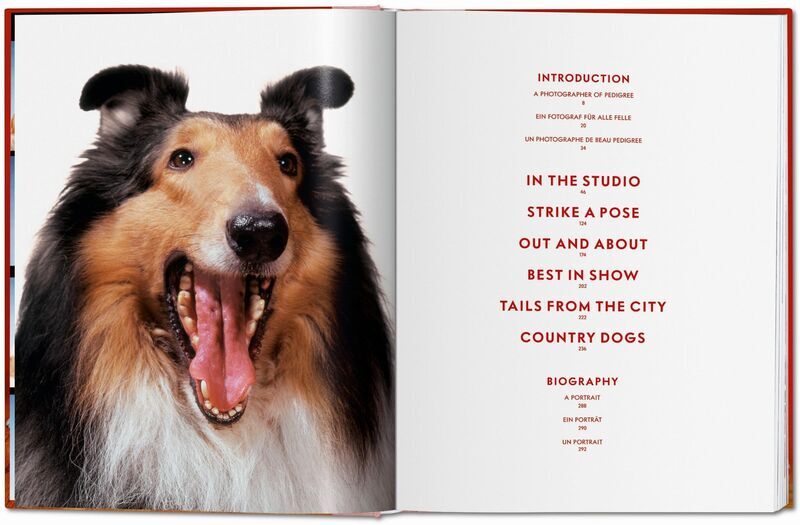 Walter Chandoha. Dogs. Photographs 1941–1991 | Weiß, image 2 of 4