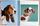 Walter Chandoha. Dogs. Photographs 1941–1991 | Weiß, thumbnail 3 of 4