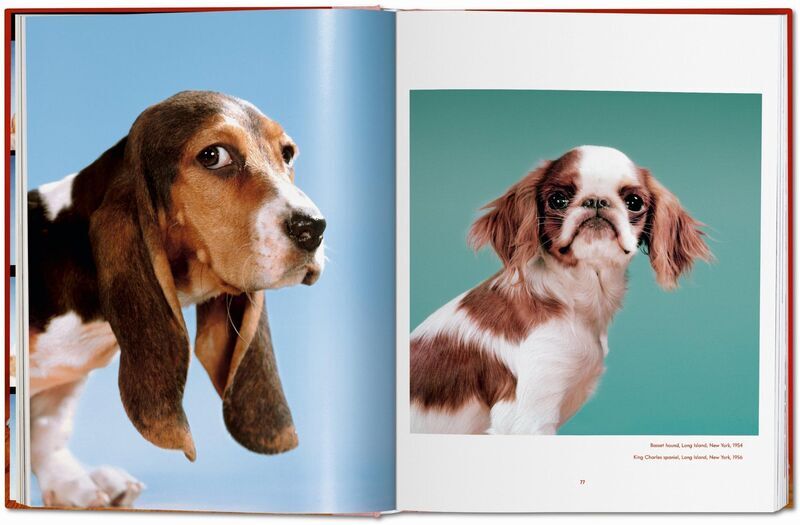 Walter Chandoha. Dogs. Photographs 1941–1991 | Weiß, image 3 of 4