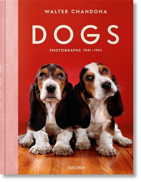 Walter Chandoha. Dogs. Photographs 1941–1991 | white, image 1 of 5