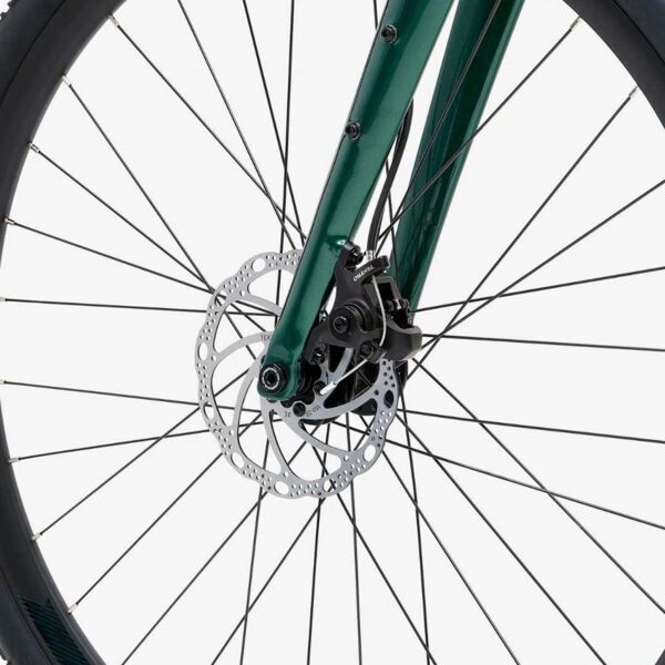 Welt G80 (2025) | Diamant | grün | 56 cm | L 5