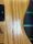 Westone Thunder 1 Natural 1980 Japan Vintage Electric Guitar | Natural Vintage, thumbnail 3 of 5