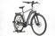 Winora Sinus i9 (2021) | Diamond | titan | 28" | 52 cm | 100 - 500 km thumbnail 2/5