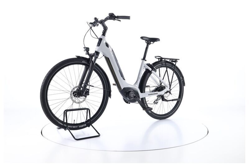 Winora Tria 7 Eco (2022) | Tiefeinsteiger | hellgrau | 28" | 46 cm | < 100 km 5