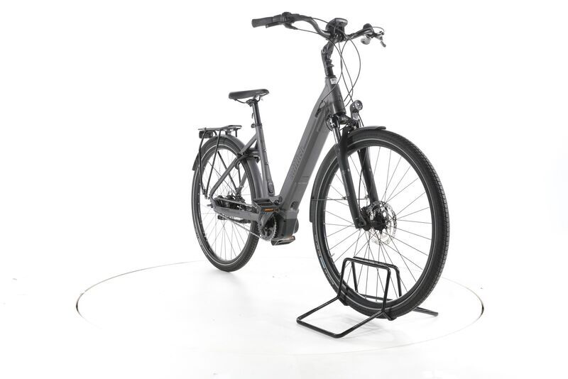 Wittich WBi8 2022 | grau | 28" | 50 cm | 500 - 3000 km, image 2 of 4