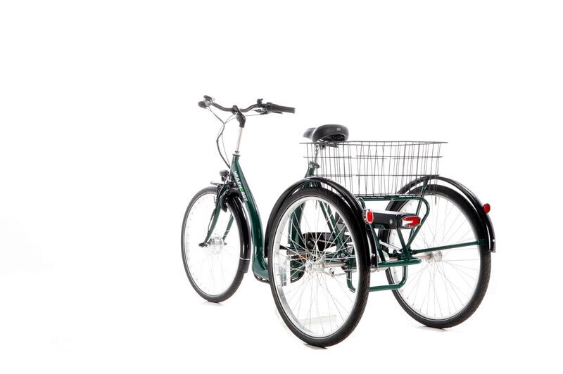 Wulfhorst Senator (2021) | Tiefeinsteiger | grün | 26" | Einheitsgröße | 100 - 500 km 4