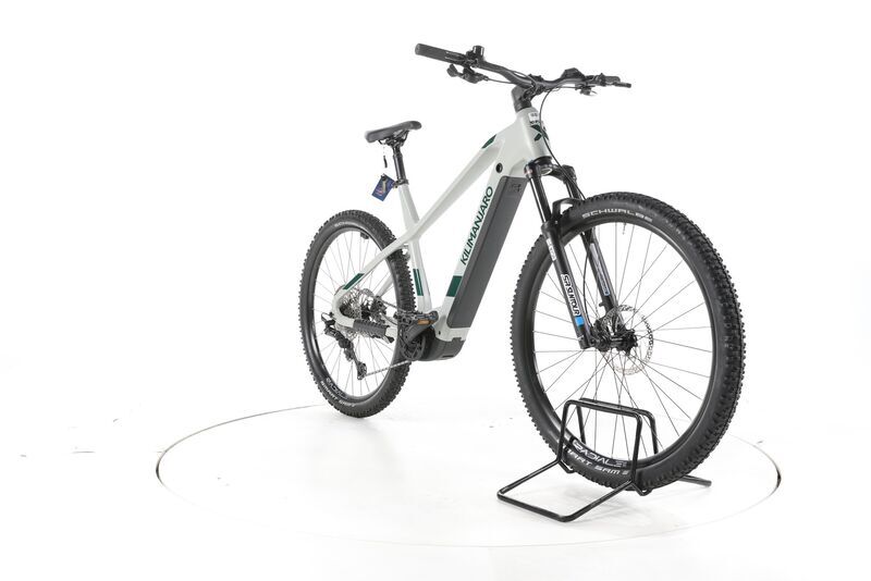 X-Fact E Race 29 2024 | white | 29" | L | 500 - 3000 km, image 3 of 5