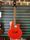Yamaha APX-SPLI 1992 Electro Acoustic Guitar *Spares/Repairs* | Original, thumbnail 2 of 5