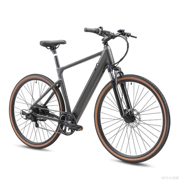 YANGOR H700 2026 | šedá | 28" | L | < 500 km, image 3 of 5