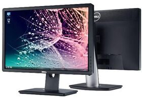 Dell Professional P2213 | 22"