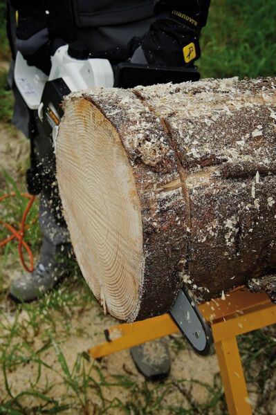 Alpina Elektro-Kettensäge C 2.2 ET | blanc/noir 3