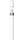Apple Pencil 1. Gen (2025) | white, thumbnail 2 of 3