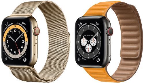 Apple Watch Series 6 Rostfritt stål 44 mm (2020)
