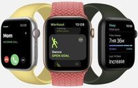 Apple Watch Series 6 Titanium 44 mm (2020)