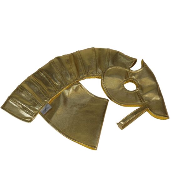 Astrup Steckenpferd Rüstung Gold | guld 1