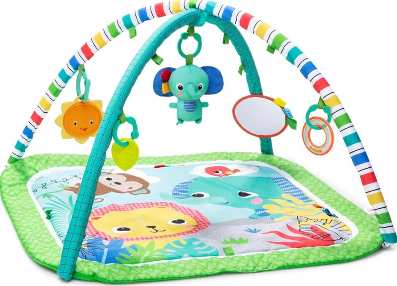 Bright Starts Wild Wiggles Baby Aktivitätsspielzeug | mehrfarbig, image 1 of 1