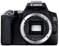 Canon EOS 250D