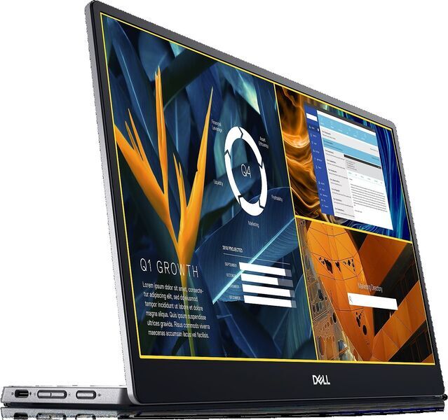 Dell P1424H | 14" | schwarz 1