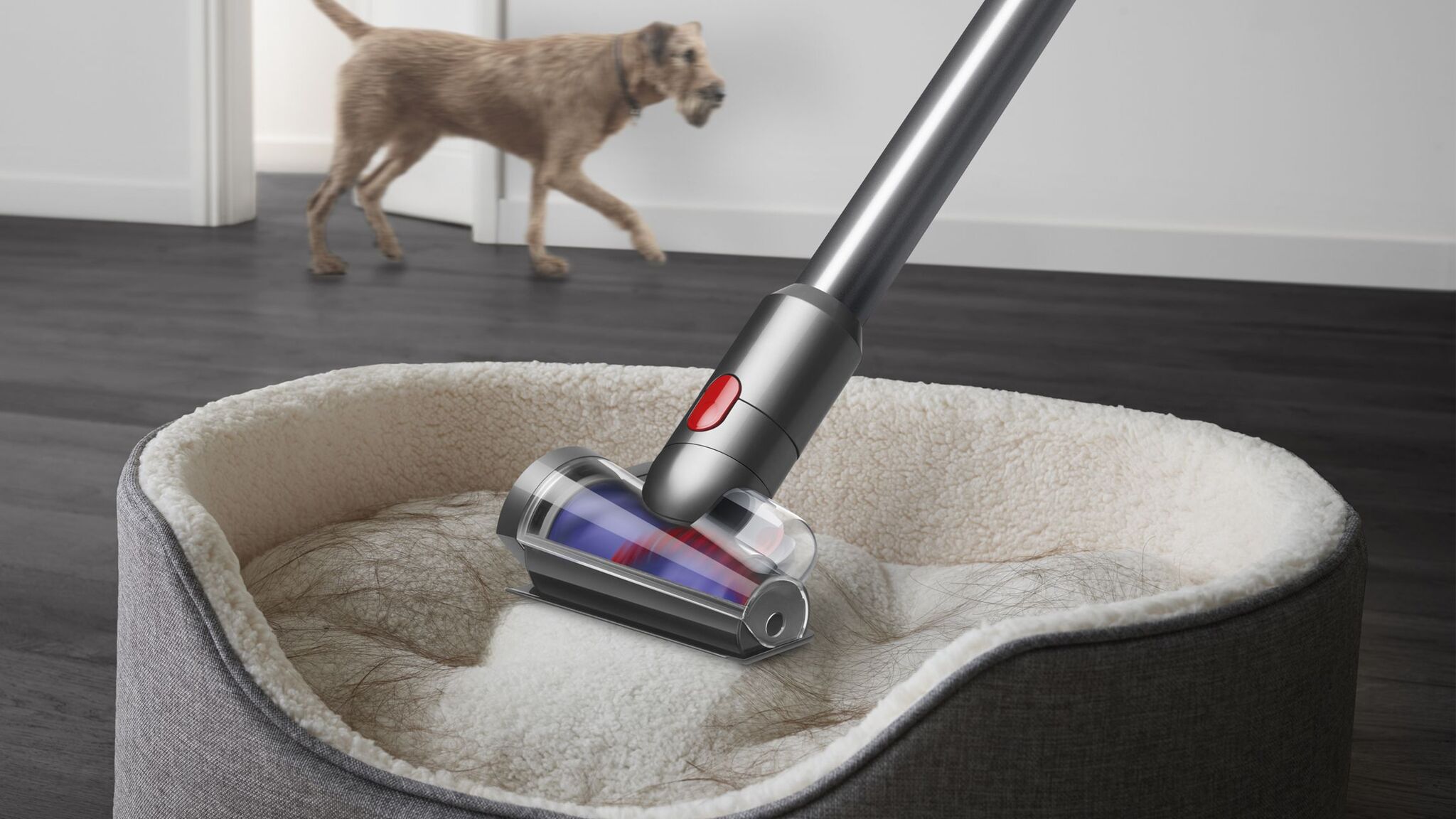 Dyson V12™ Detect Slim Absolute - Refurbished Vacuum