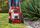 Einhell GE-CM 18/30 Li (1 x 3,0 Ah) Battery Lawn mower | red/black, thumbnail 5 of 5