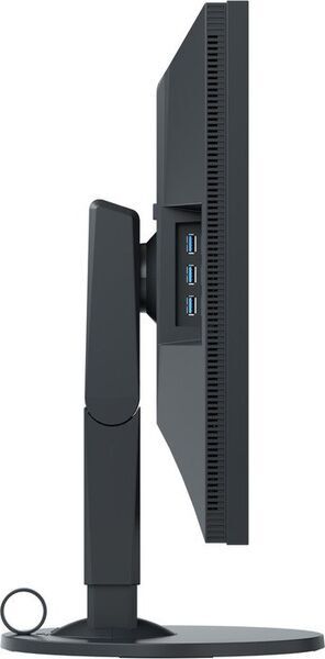 Eizo ColorEdge CS2730 | 27" | nero 2