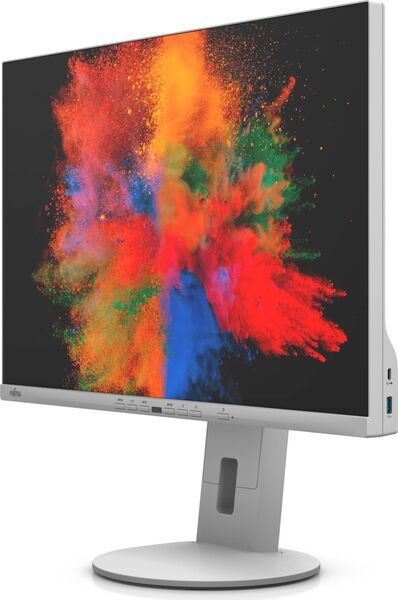 Fujitsu B-Line B2410 WE | 24.1" | gris 2