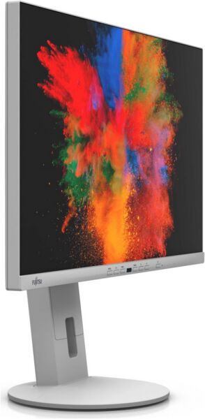 Fujitsu P-Line P2410 TE | 23.8" | grau 2