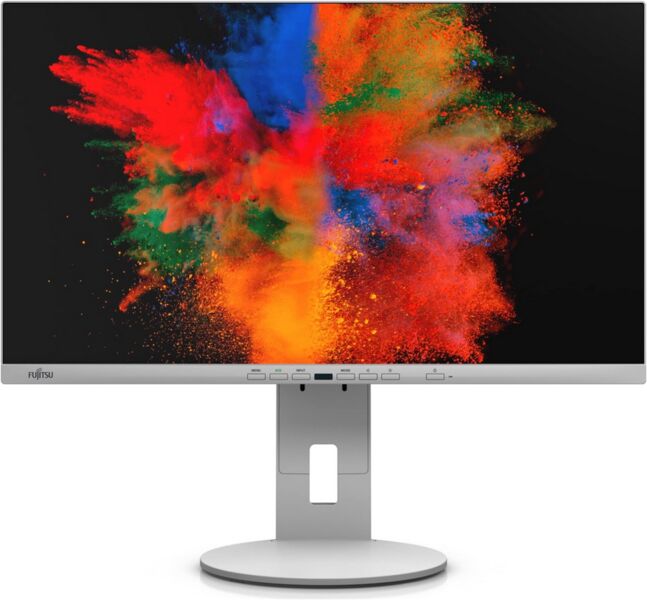 Fujitsu P-Line P2410 TE | 23.8" | grau 1