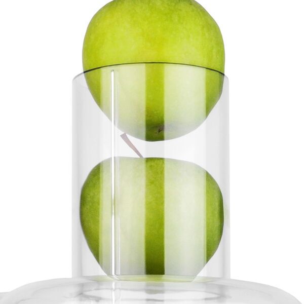 Gastroback Vital Juicer Pro Spremiagrumi | argento 2