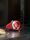 GRAEF Affettatrice universale Manuale H93 | rosso thumbnail 5/5