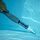 Gre ABS3 Pool Cleaner | blue thumbnail 3/3