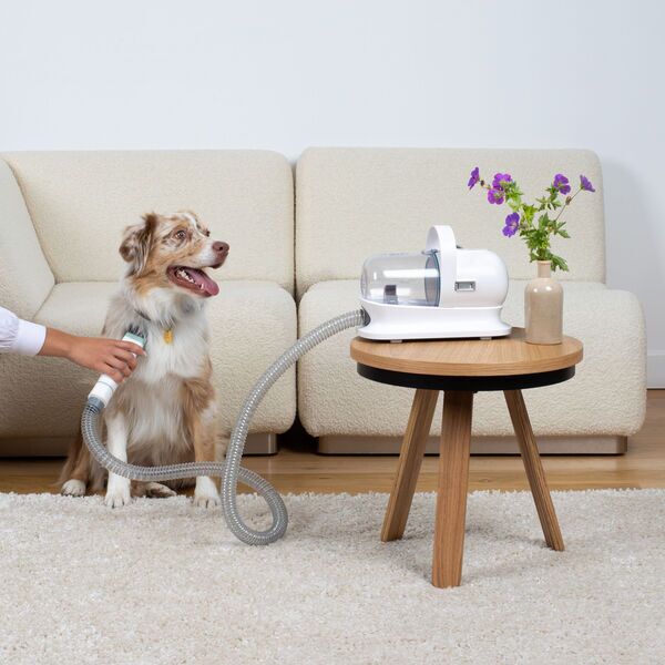 H.Koenig PAW400 Vacuum clipper for pets | white 5