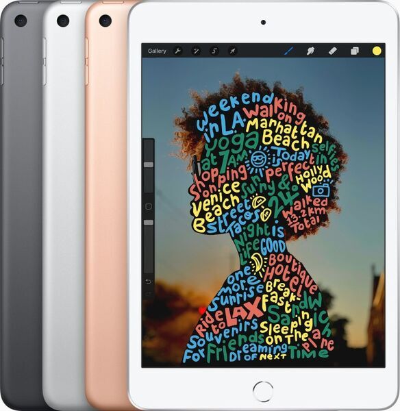iPad mini 5 (2019) | 7.9" | 256 GB | 4G | rosa guld