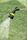 Kärcher Premium watering rod | black/yellow thumbnail 2/3