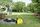 Kärcher BP 2 Garden Set Plus Pompe de jardin | jaune/noir thumbnail 2/4