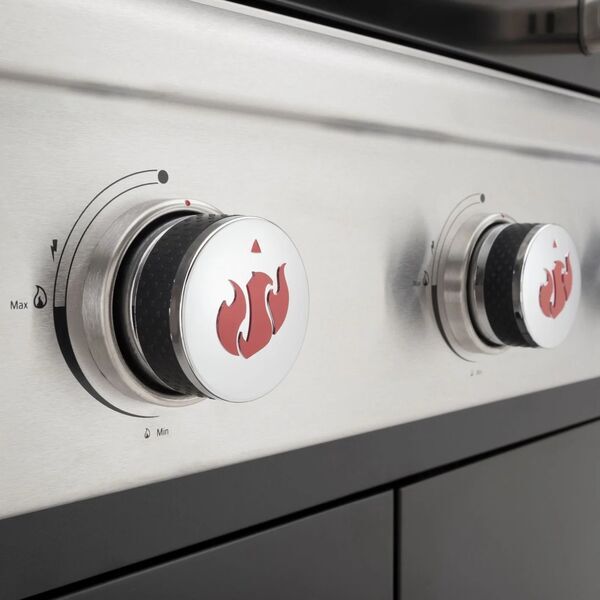 Landmann Triton 3.1 Cook Gas grill | silver 4