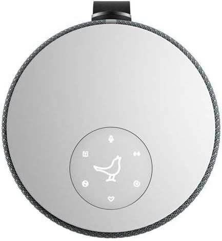 Libratone ZIPP 2 | Frosty Grey 5